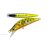 MAJOR CRAFT FINETAIL EDEN 50H 5cm 5.5gr #013 Gold Chart Yamame